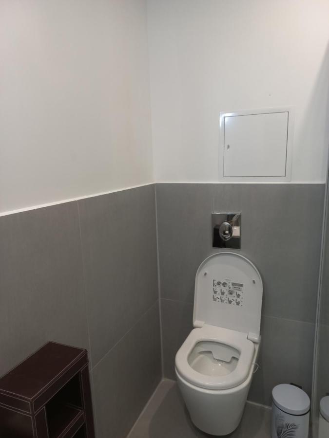 דירות Le Gerwig Colmar Centre מראה חיצוני תמונה